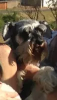 Filô