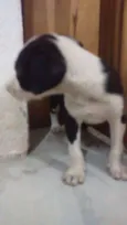Não tem