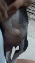Não tem