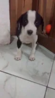 Não tem