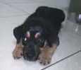 Não tem