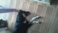 ainda sem nome