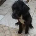 Skyle