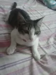 nyna