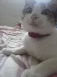 nyna