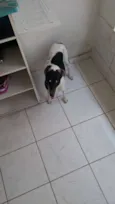Boris
