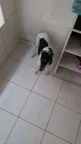 Boris