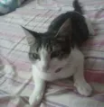 nyna