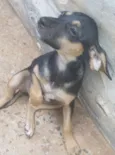 Sem nome