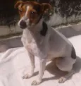 BELA