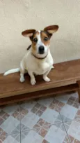 Tobby