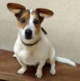 Tobby