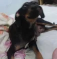 Caca