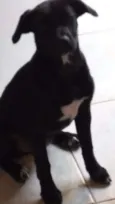 Malú