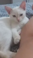 Clara