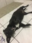 Suzi