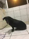 Suzi