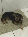 Mickey