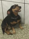 Mickey