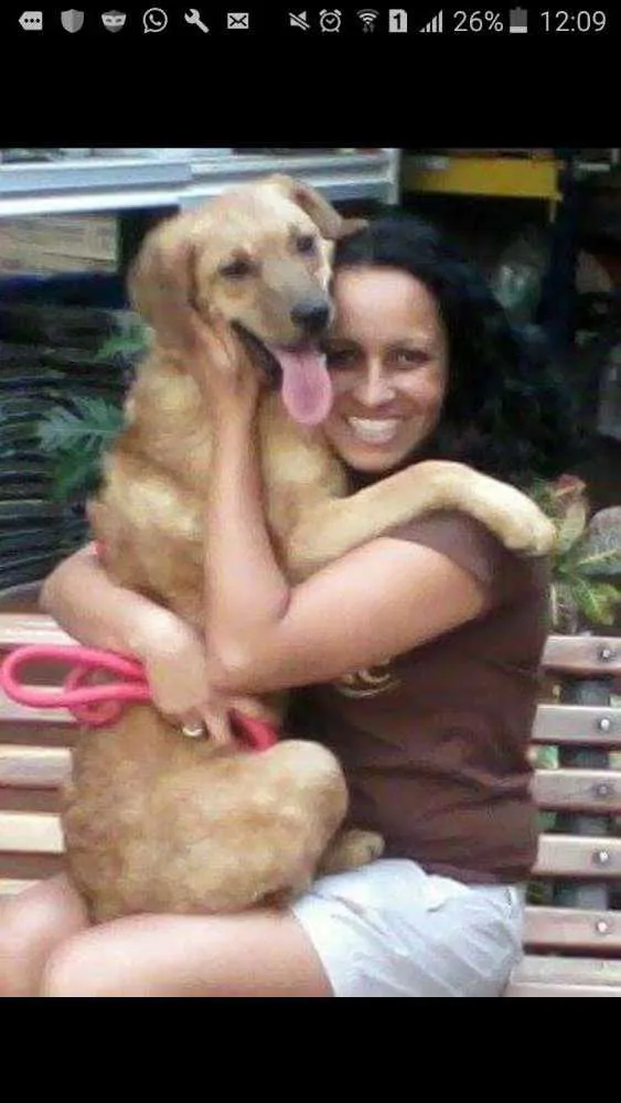 Cachorro raça Desconhecida  idade 3 anos nome BRIGiTTE BARDOT_Bibi