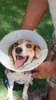 Lua