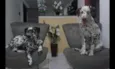 Pingo e Pintada