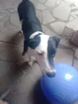 Não tem