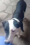 Não tem
