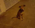 Bob