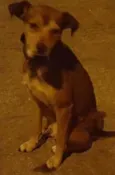 Bob