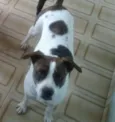 Brigite e Margo