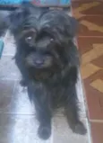 Bilu