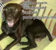Marrom