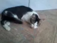 Não coloquei nome