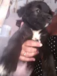 ????