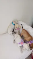 nao tem