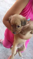 Lilica 