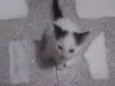 Bebê