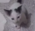 Bebê