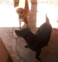 Princesa