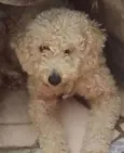 nao sei