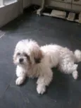 Billy