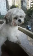 Billy