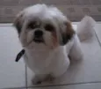 Billy