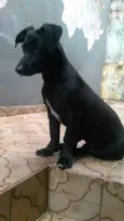 Marley