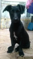 Marley