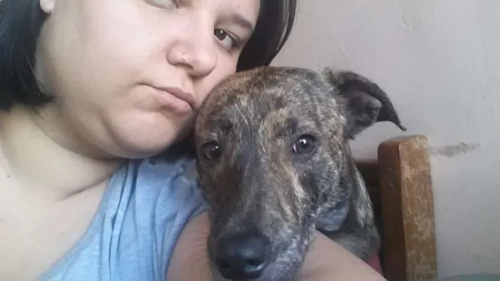 Cachorro ra a SRD idade 1 ano nome ELVIS