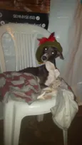 Pandora