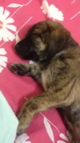 Marley
