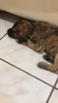 Marley